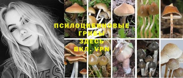 марихуана Пролетарск