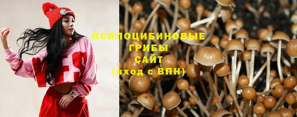 mix Протвино