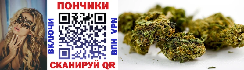 купить  сайты  MEGA ТОР  Конопля White Widow  Сосновый Бор 